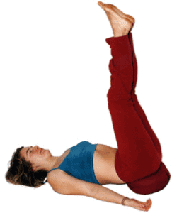 Copyright Yoga Vidya www.yoga-vidya.de