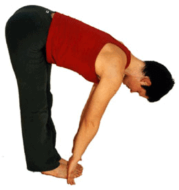 Copyright Yoga Vidya www.yoga-vidya.de