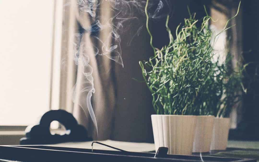 Wohnung Ausrauchern So Reinigst Du Deine Wohnung Energetisch