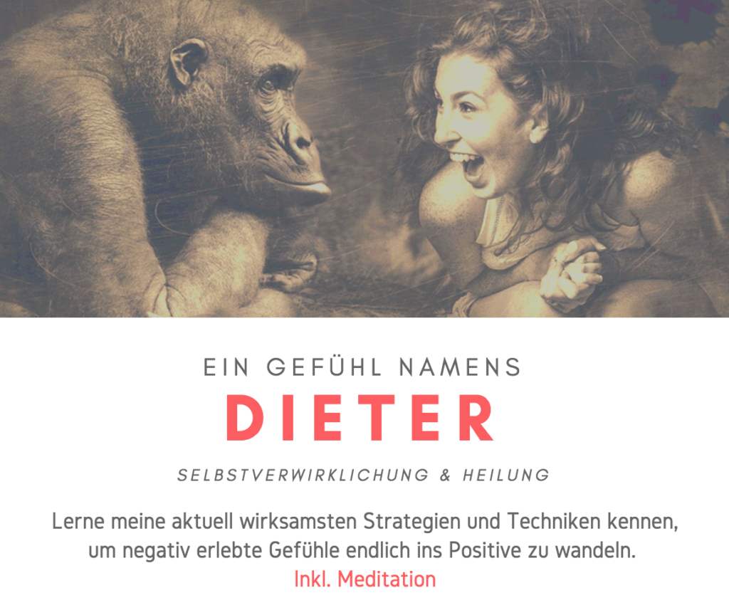 Ein Gefühl namens Dieter - MEINE BISLANG WIRKSAMSTEN STRATEGIEN ZUR BEWÄLTIGUNG VON SCHWIERIGEN GEFÜHLEN UND LEBENSSITUATIONEN