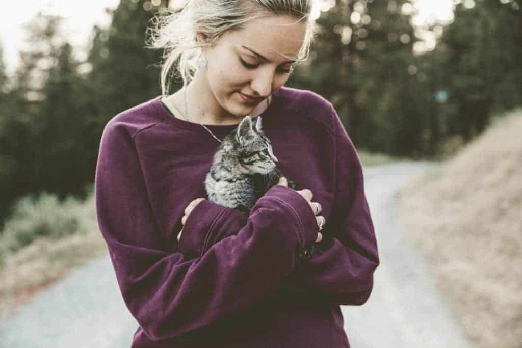 wie uns Tiere bei Angst und Depressionen helfen zu heilen